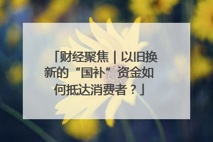 财经聚焦｜以旧换新的“国补”资金如何抵达消费者？